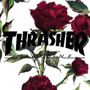 Meet your Posher, Jake